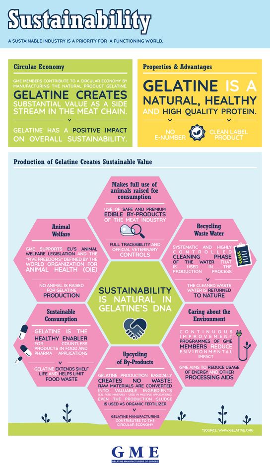 Infographic about sustainability of gelatine
