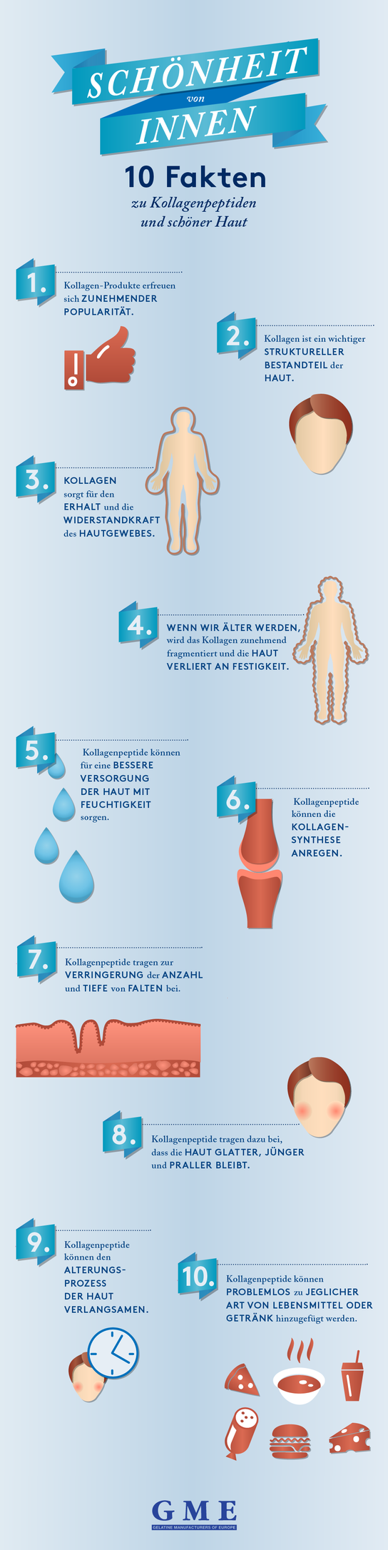Infografik Schönheit von innen