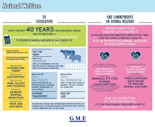 Infographic about animal welfare