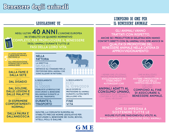 Informazioni chiave per la sostenibilità